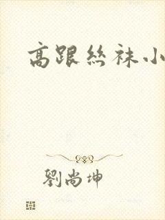 高跟丝袜小说