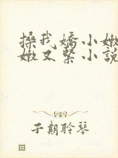 搡我娇小嫩苞又嫩又紧小说