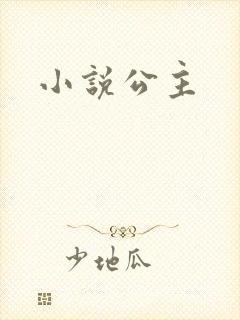 小说公主封面