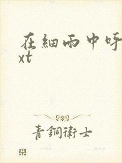 在细雨中呼喊txt