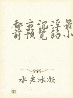 都市沉浮最快超前预览的小说3030