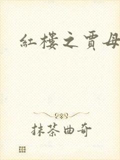 红楼之贾母封面