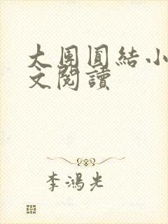 大团圆结小茹全文阅读