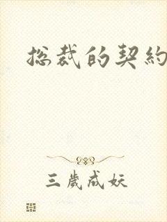 总裁的契约情人