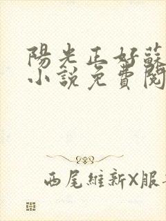 阳光正好苏玥玥小说免费阅读封面