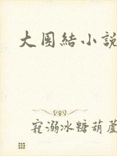 大团结小说下载