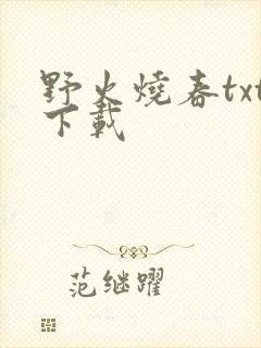野火烧春txt下载