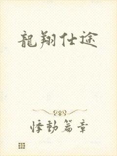 龙翔仕途封面