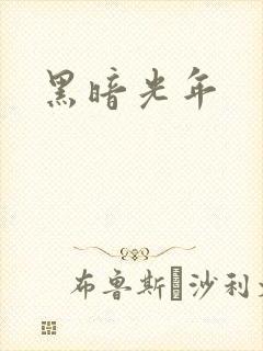 黑暗光年封面