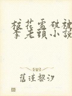校花处破被灌满李老头小说