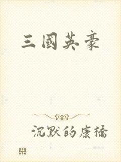 三国英豪封面