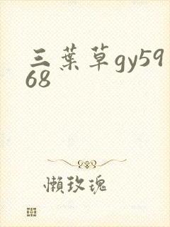 三叶草gy5968