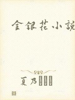 金银花小说乐可