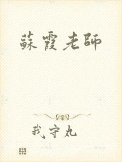 苏霞老师封面