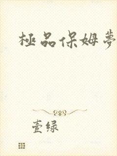 极品保姆梦梦封面