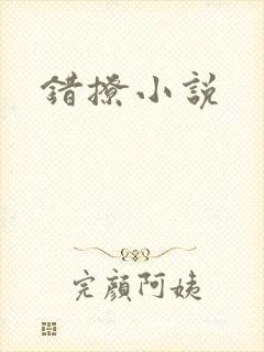 错撩小说