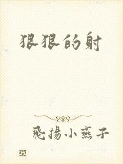 狠狠的射