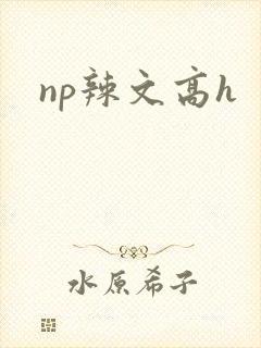 np辣文高h