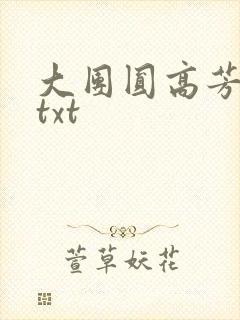 大团圆高芳小说txt封面