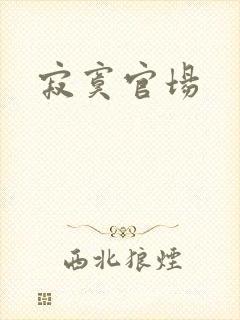寂寞官场