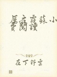 厉夜霆苏小汐免费阅读封面