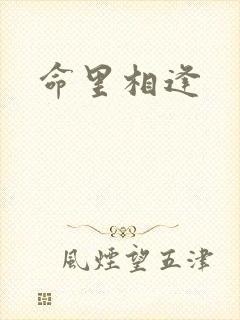 命里相逢封面