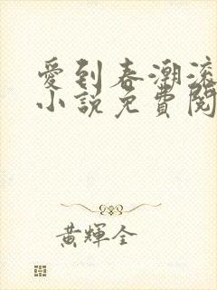 爱到春潮滚滚来小说免费阅读