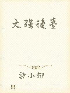 文强后台