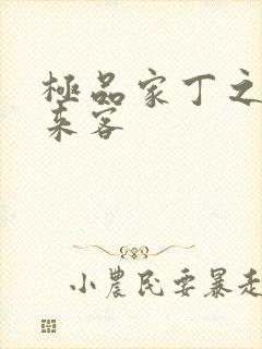 极品家丁之远方来客