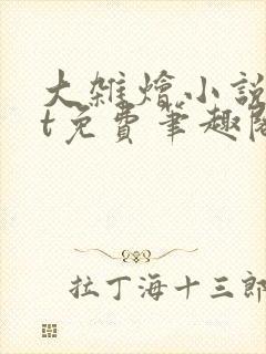 大杂烩小说txt免费笔趣阁封面