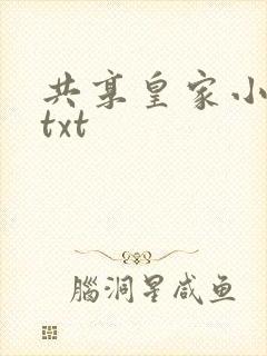 共享皇家小公主txt封面