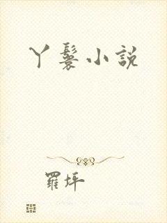 丫鬟小说