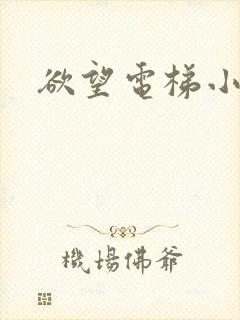 欲望电梯小说