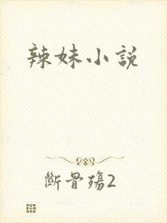 辣妹小说