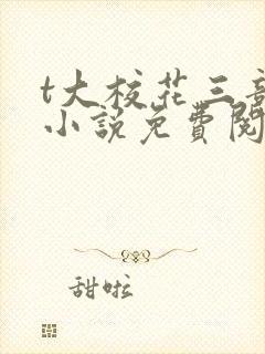 t大校花三部曲小说免费阅读全文