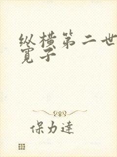 纵横第二世界 宽子