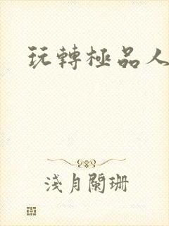 玩转极品人生封面
