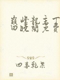 巅峰龙主丁长顺田晓兰免费阅读