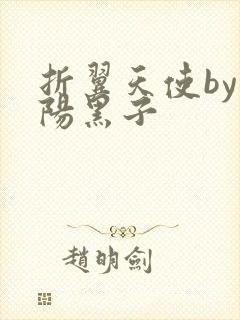 折翼天使by太阳黑子封面