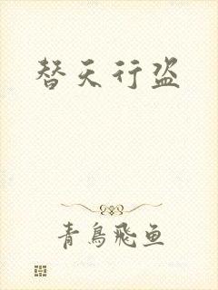 替天行盗