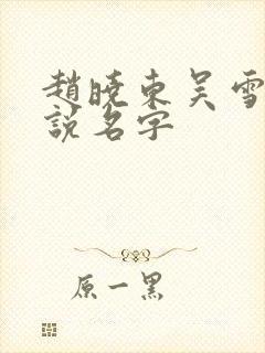 赵晓东吴雪晴小说名字
