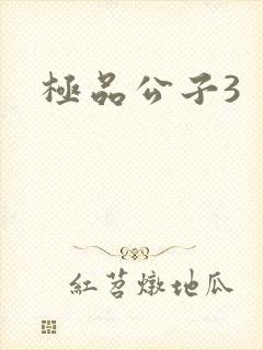 极品公子3封面