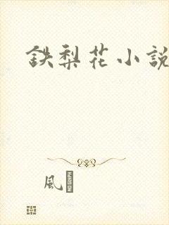 铁梨花小说