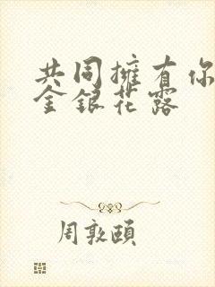 共同拥有你by金银花露封面