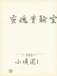 灵魂实验室