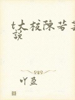 t大校陈若芸小说