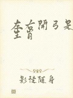 左右开弓是什么生肖