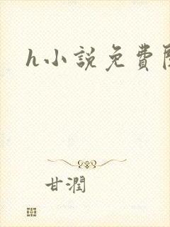 h小说免费阅读封面