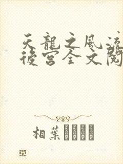 天龙之风流猎艳后宫全文阅读
