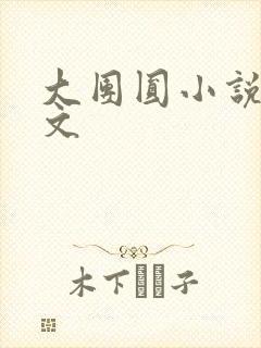 大团圆小说集全文